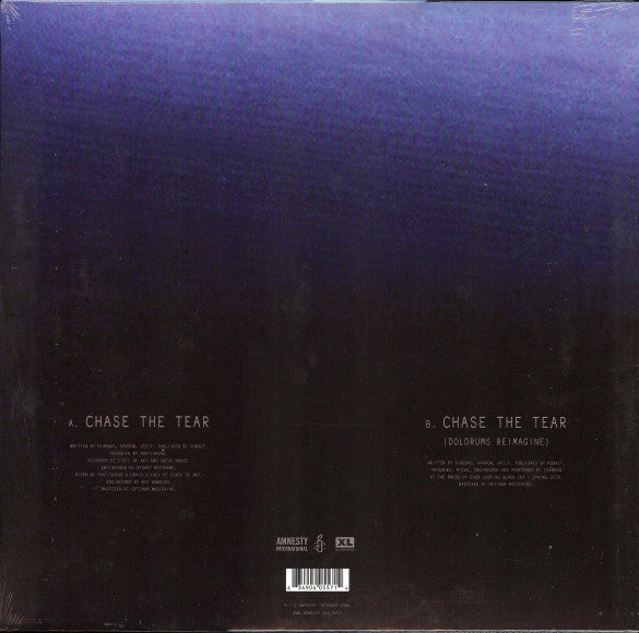 Portishead : Chase The Tear (12", Single)
