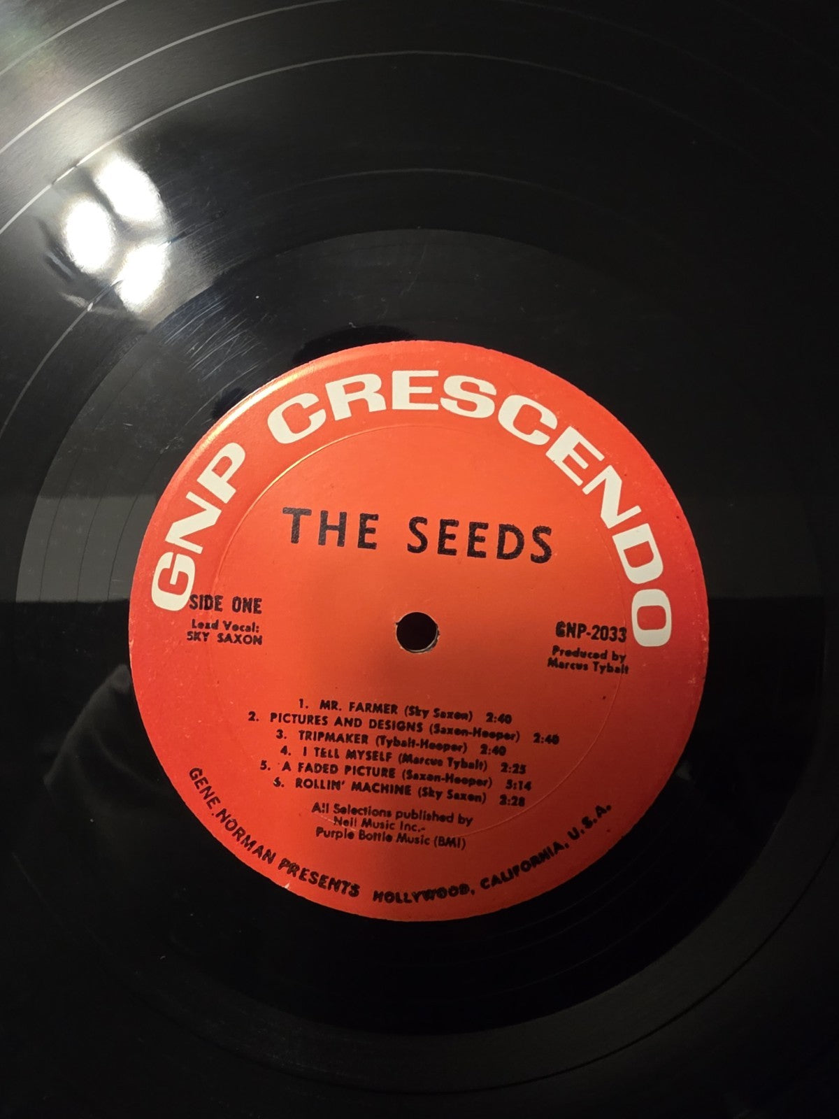 The Seeds  A Web Of Sound 1966 LP GNP Crescendo GNP 20336