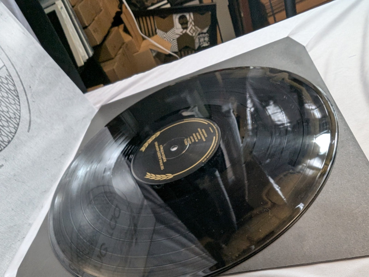 THE RURAL ALBERTA ADVANTAGE - MENDED WITH GOLD + DEPARTING- LP