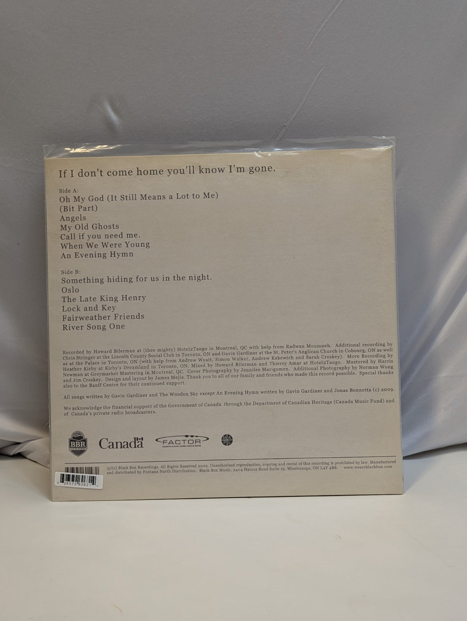 WoodenSky   If I Don't Come Home You'll Know I'm Gone  12" Record W/Hype1