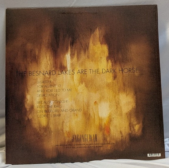 THE BESNARD LAKES - ARE THE DARK HORSE - 12" RECORD