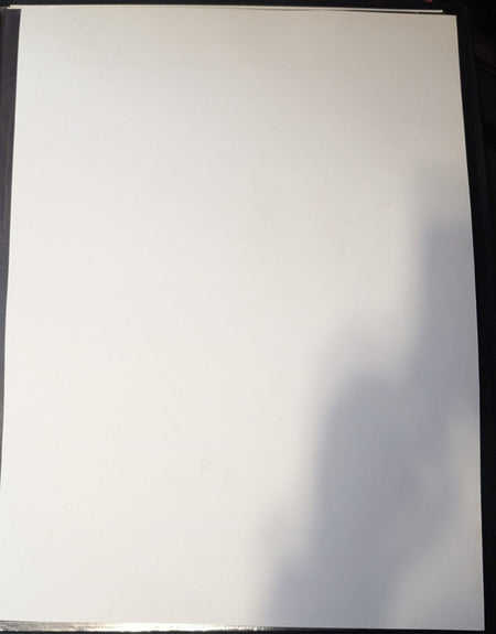 THE WEAKERTHANS & CONSTANTINES - 2004 DOUBLENAUGHT PRINT - VINTAGE \ #'D  