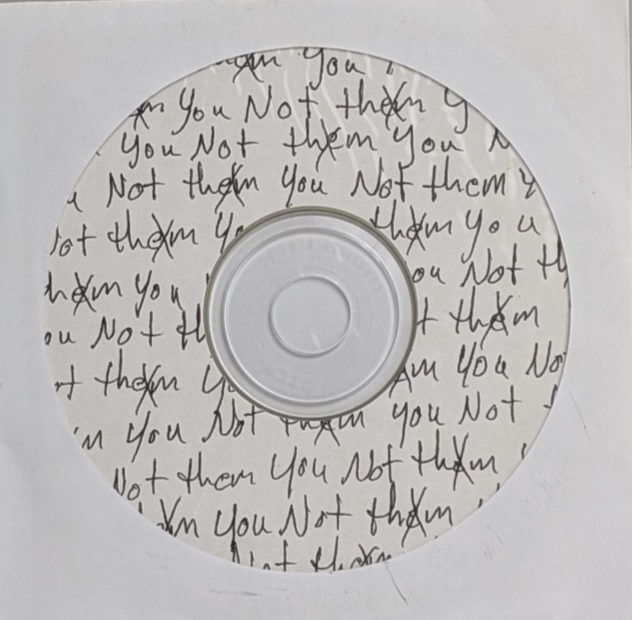 Lake Trout - Not Them, You- CD - Promo - UK *RARE* *NEW*