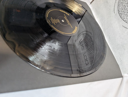 THE RURAL ALBERTA ADVANTAGE - MENDED WITH GOLD + DEPARTING- LP