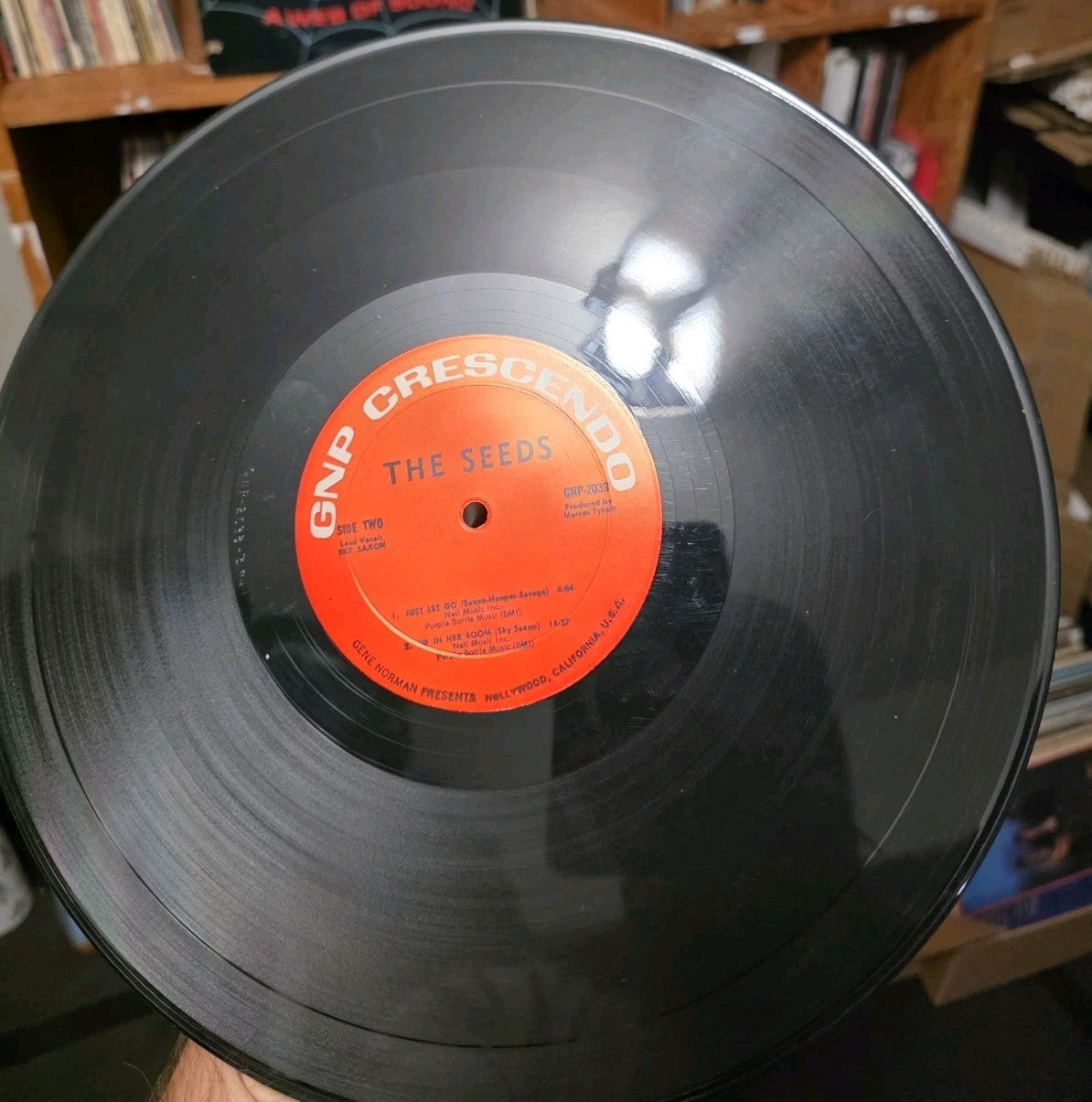 The Seeds  A Web Of Sound 1966 LP GNP Crescendo GNP 20334