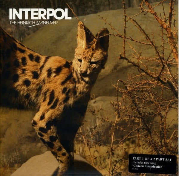 Interpol The Heinrich Maneuver 7" VINYL RECORD0