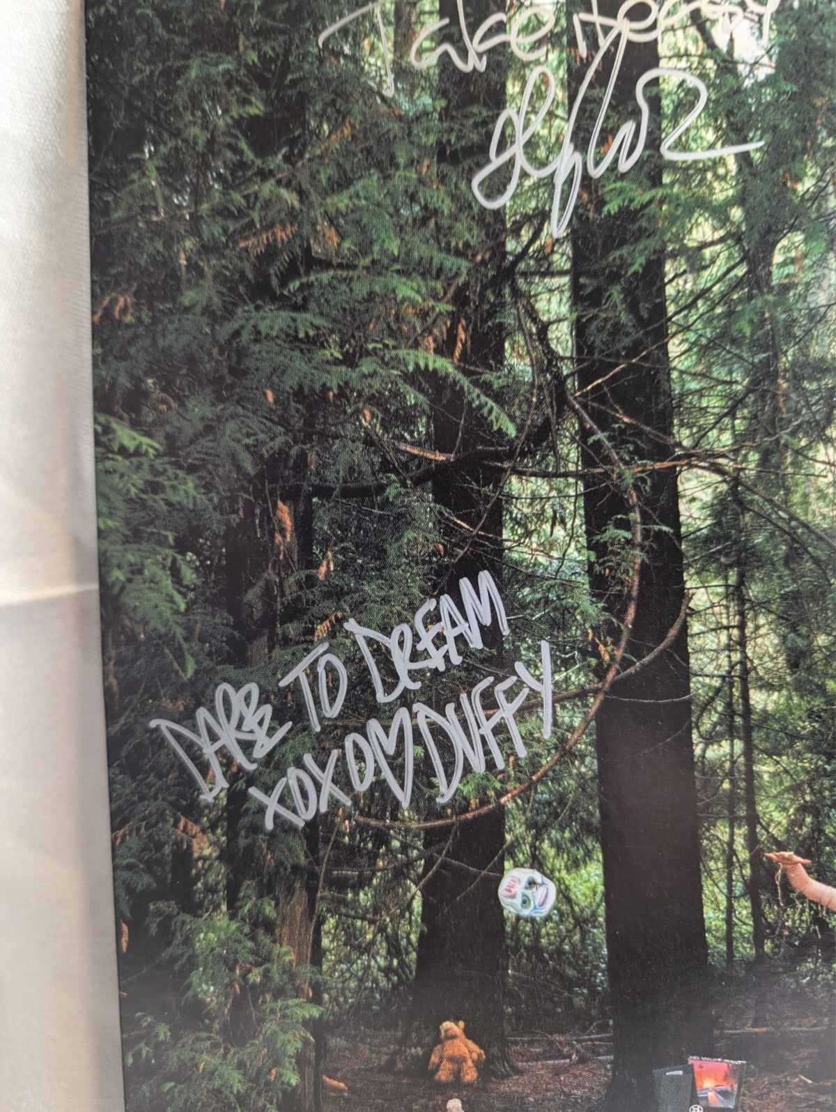 LADYHAWK- LP - (2006) *AUTOGRAGPHED* FRONT JACKET & INSERT 