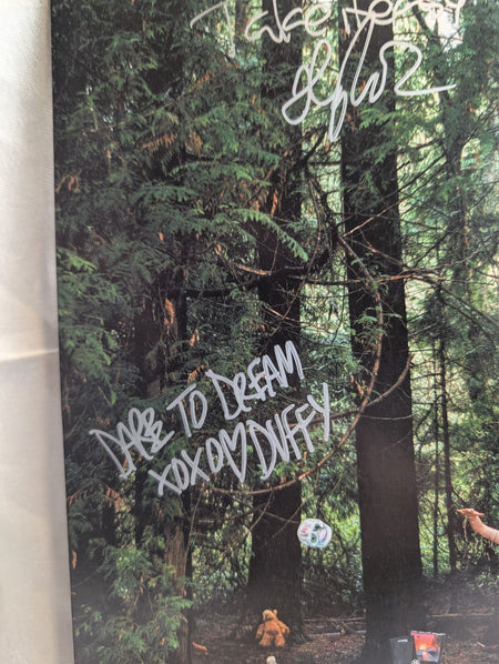 LADYHAWK- LP - (2006) *AUTOGRAGPHED* FRONT JACKET & INSERT 