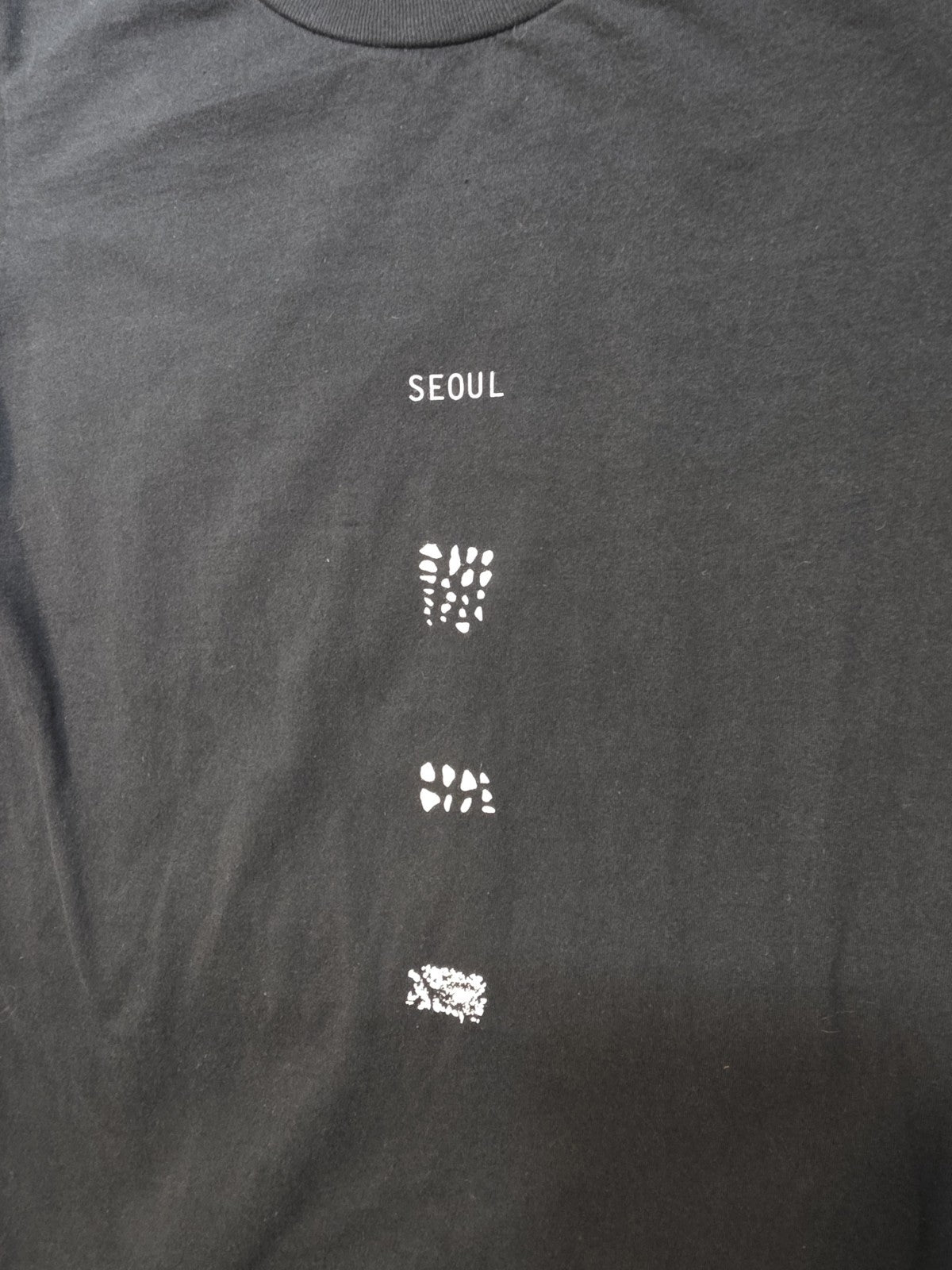Seoul   Band t shirt   Canadian Indie   Size Small2