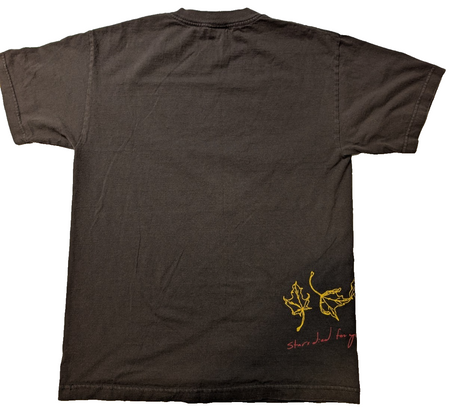 Stars   Band T shirt szM1