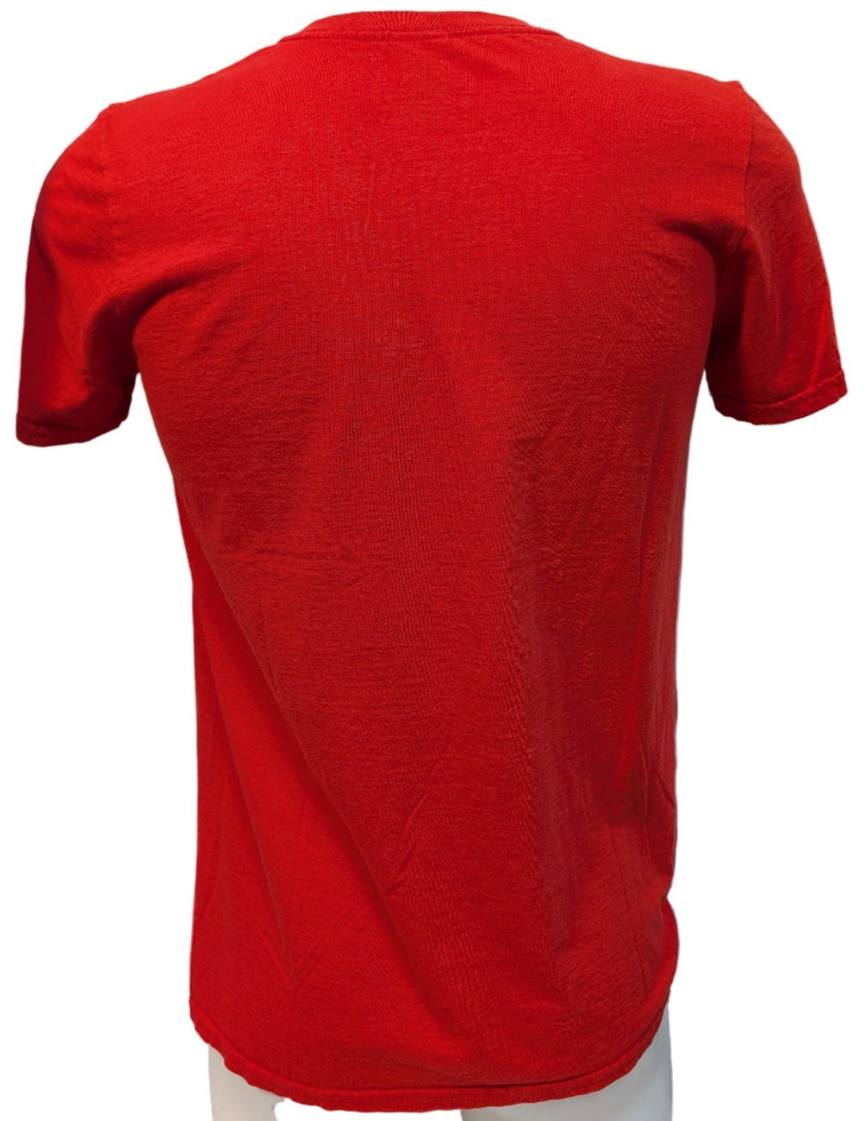 T shirt The Smashing Pumpkins Pyramid Shirt   szSmall1