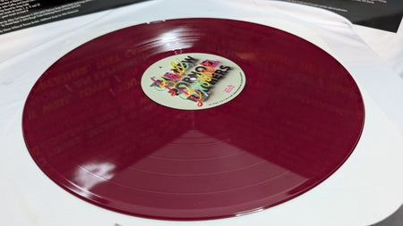 THE NEW PORNOGRAPHERS 12" LP BRILL BRUISERS *LIMITED EDITION*