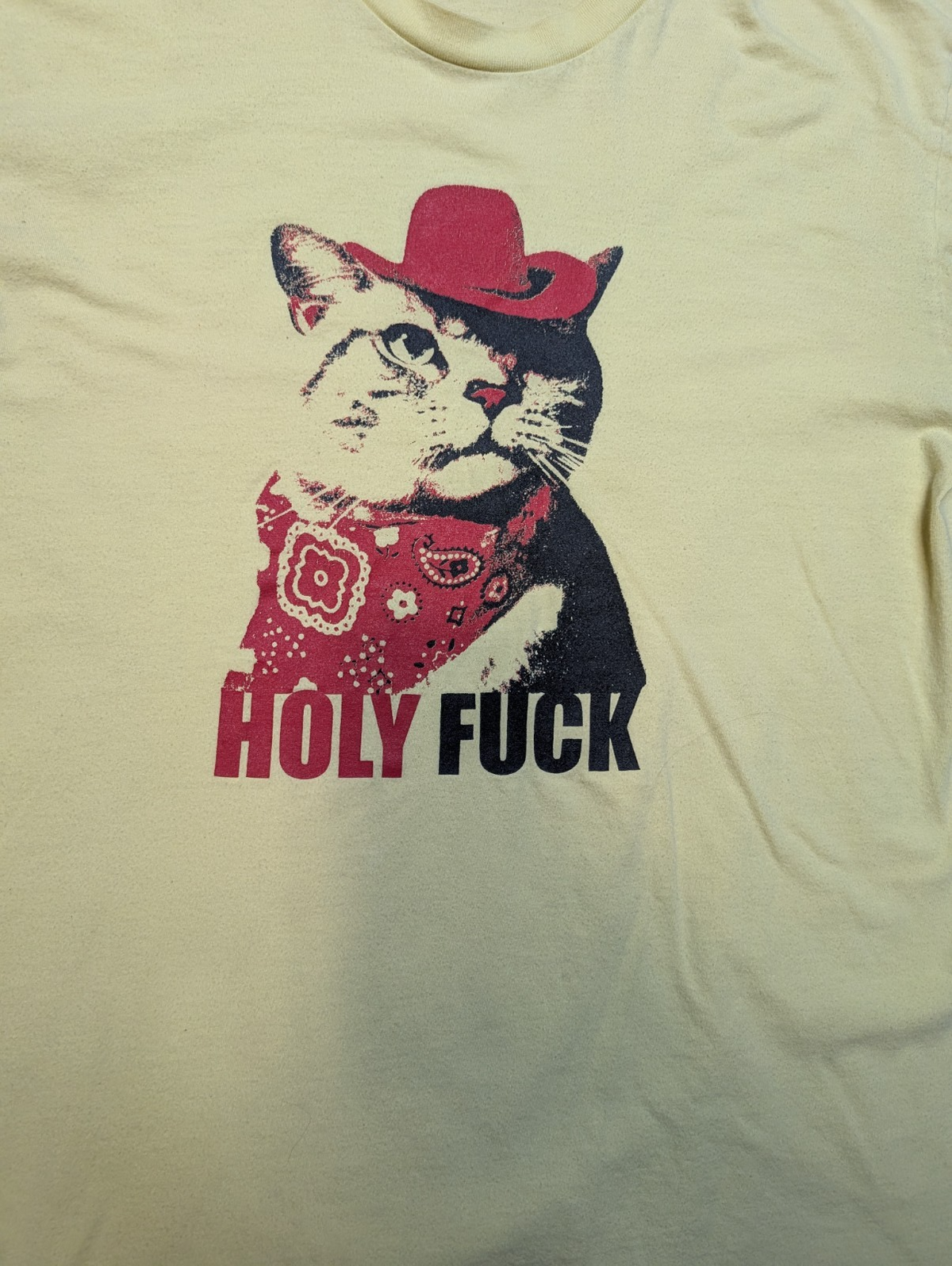 Holy F*ck   Band T shirt  Cowboy Cat  Size M  1