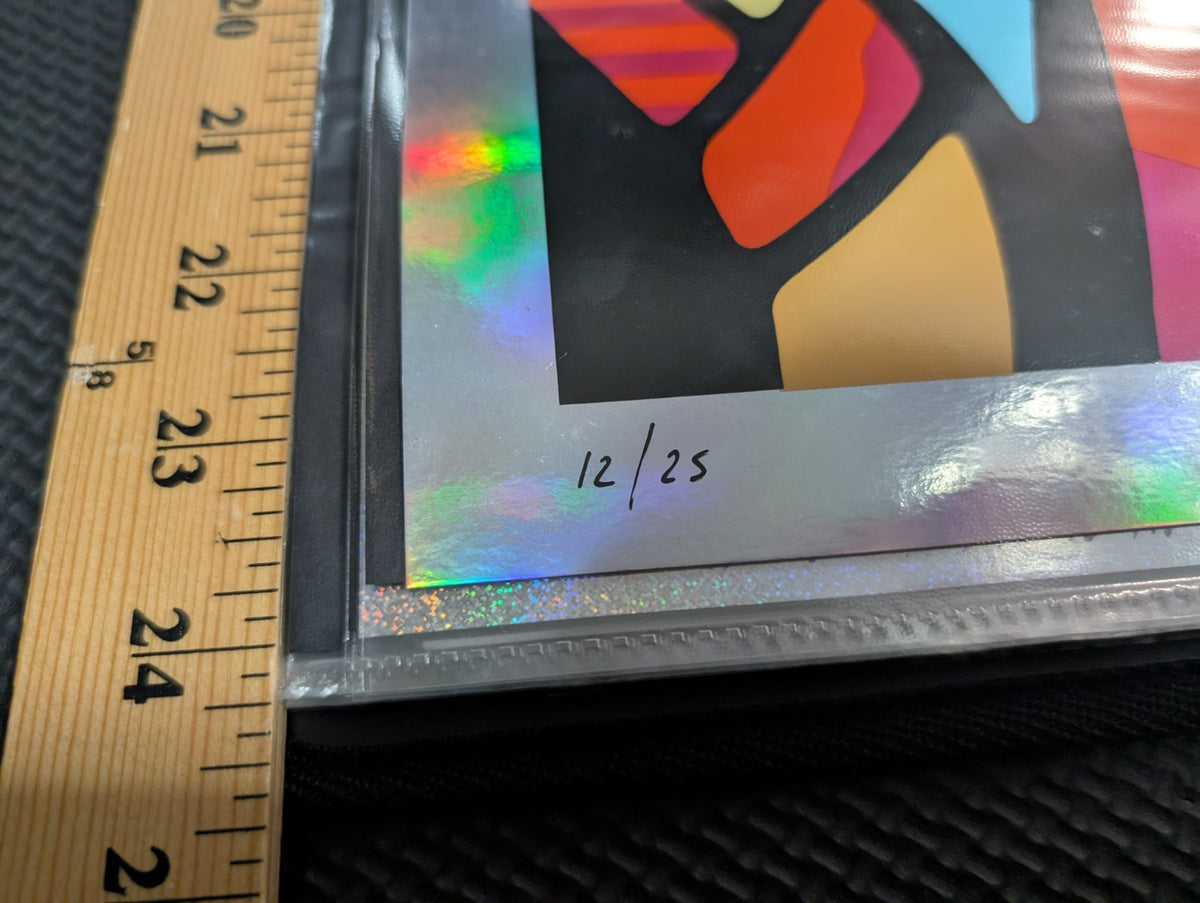 The Pixies - 2013 #'D Foil Print - Montreal - 12of25