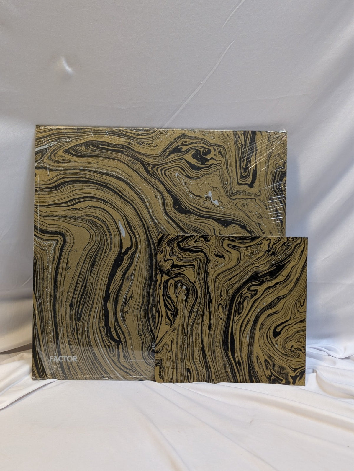 BRY WEBB- FREE WILL - 12" + 7" RECORD - ALL INSERTS