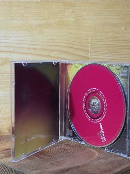 Rod Stewart - Human  - CD2