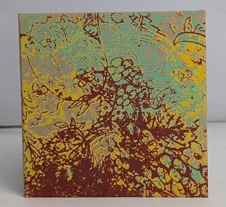 Plants And AnimalsPlants and Animals2003 – CanadaCD, AlbumShips At Night Rec