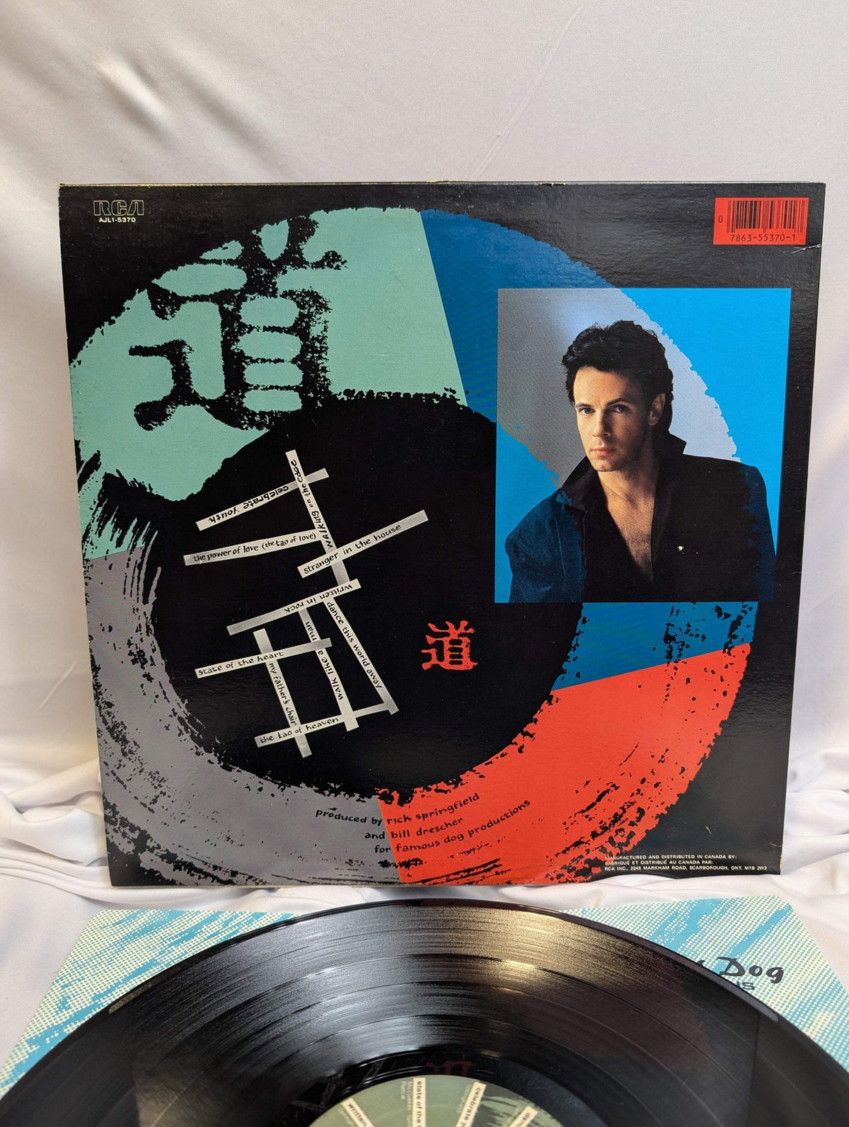 RICK SPRINGFIELD - TOA - LP-ALBUM - 1985 -#AJL1 5370