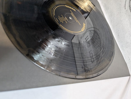 THE RURAL ALBERTA ADVANTAGE - MENDED WITH GOLD + DEPARTING- LP