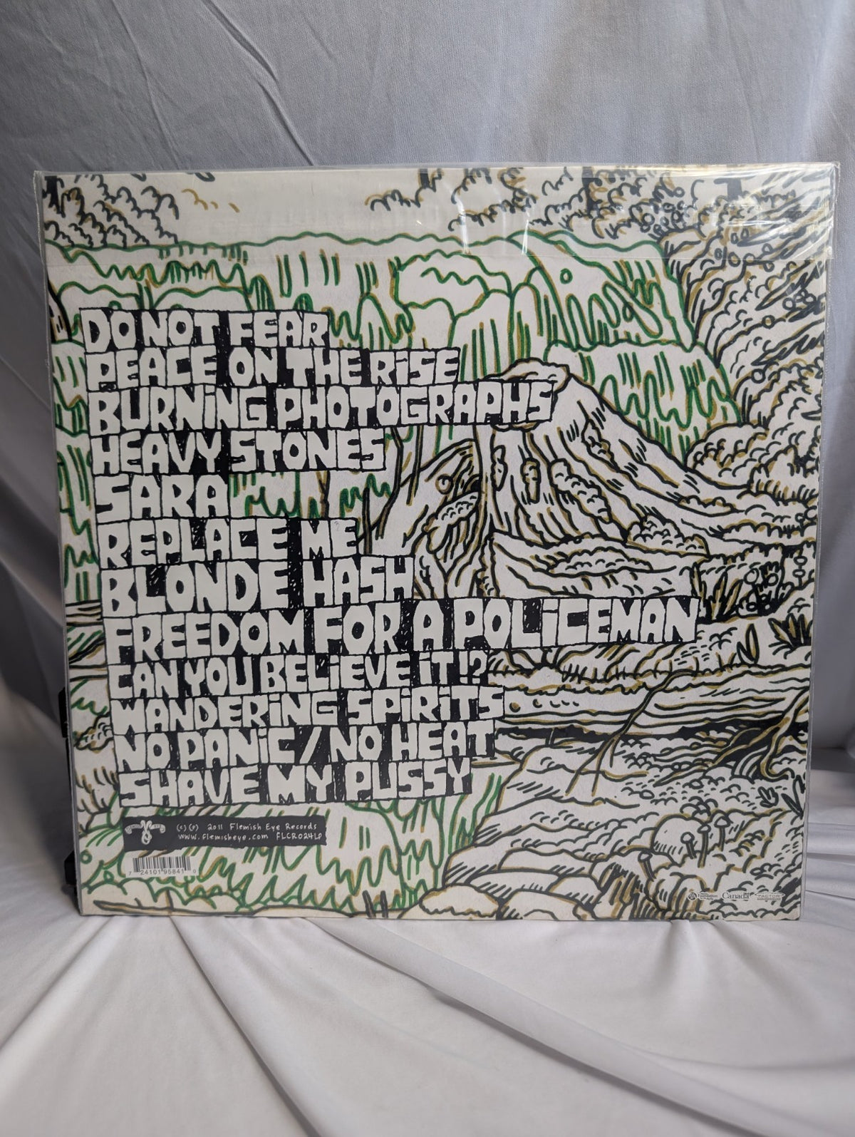 CHAD VANGAALEN DIAPER ISLAND   12" RECORD   AUTOGRAPHED W/DOODLE BY CHAD6