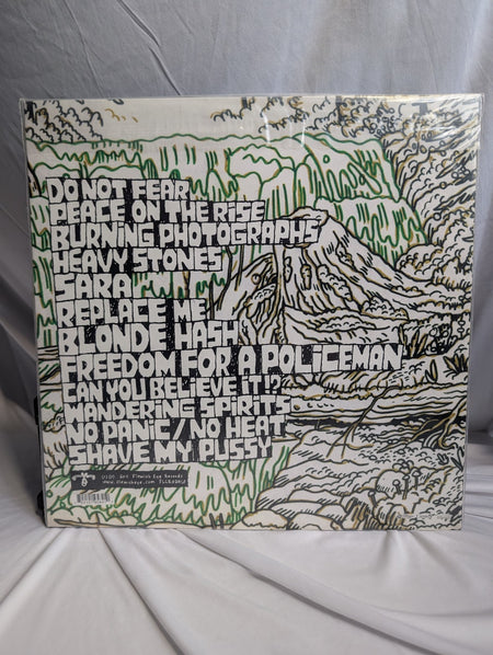 CHAD VANGAALEN DIAPER ISLAND   12" RECORD   AUTOGRAPHED W/DOODLE BY CHAD6