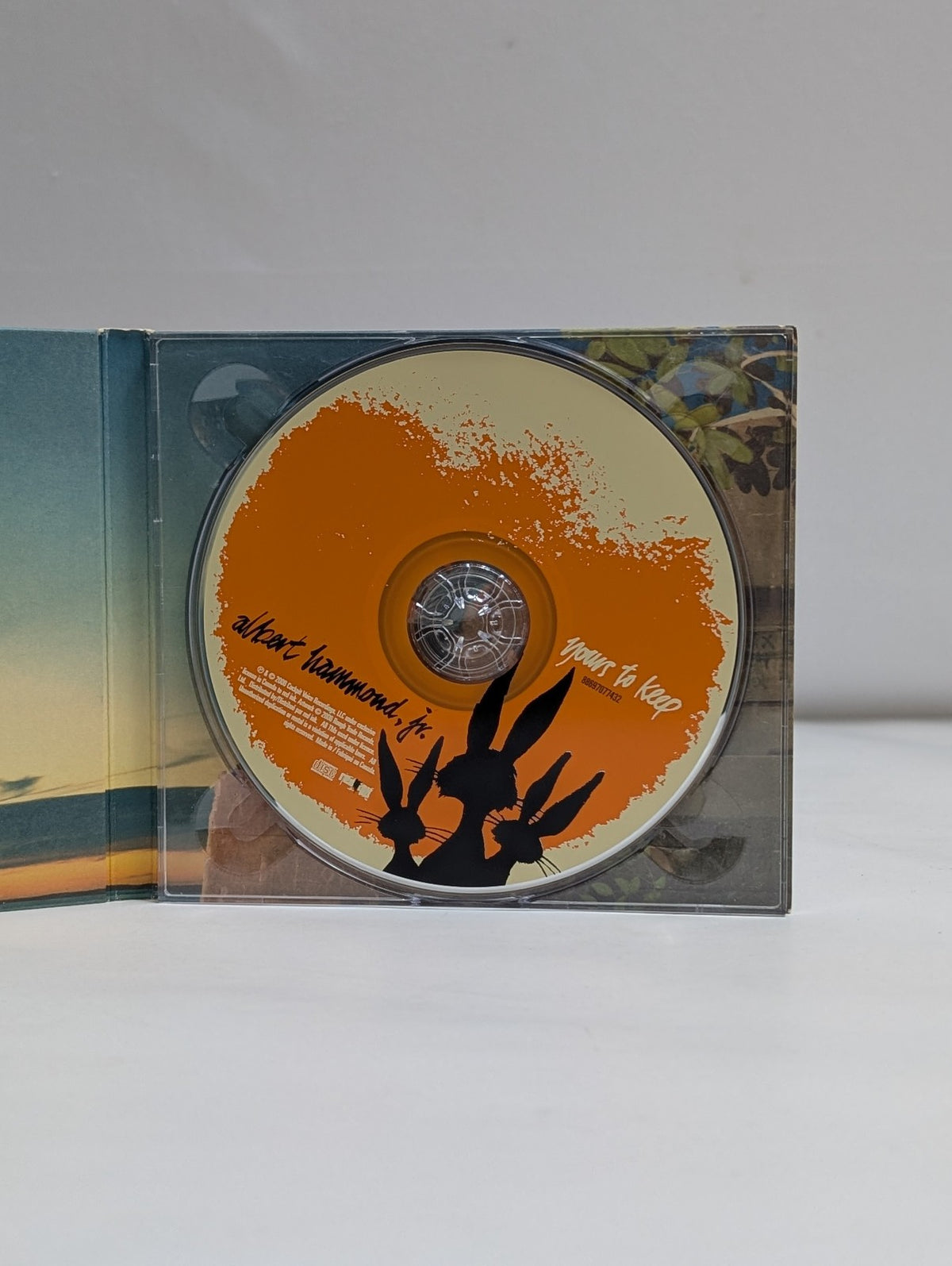 Albert Hammond Jr - Yours To Keep - CD -2006