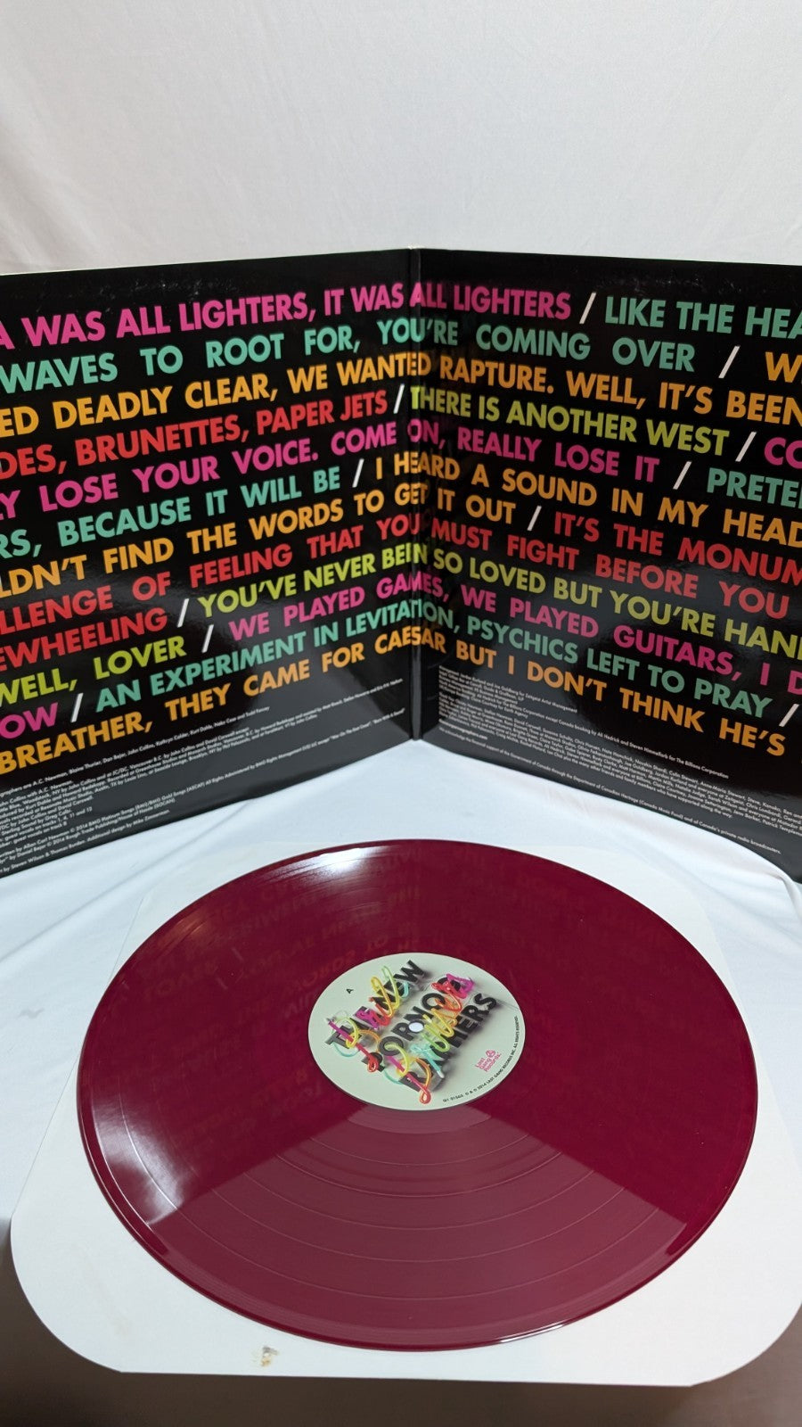 THE NEW PORNOGRAPHERS 12" LP BRILL BRUISERS *LIMITED EDITION*