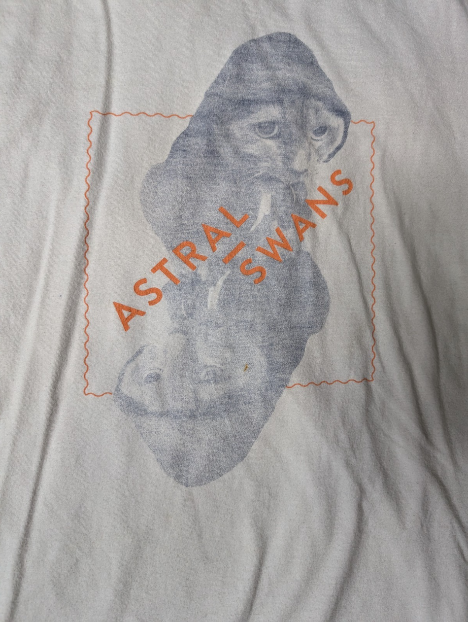 Astral Swans   Band T shirt   Size Small1