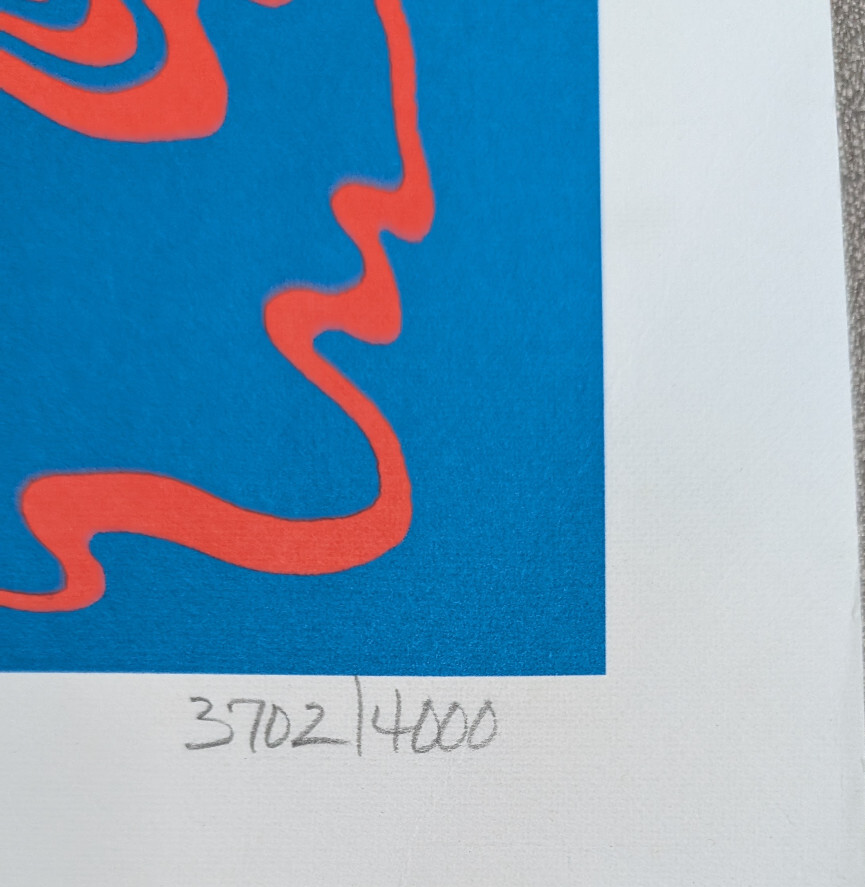 Black Angels   Phosphene dream   numbered silkscreen 3702/40001