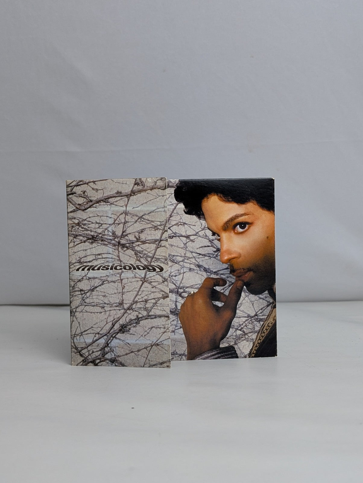 MusicologyPrince2004 – CanadaCD, Album, EnhancedNPG Records – CK 92560, Colu