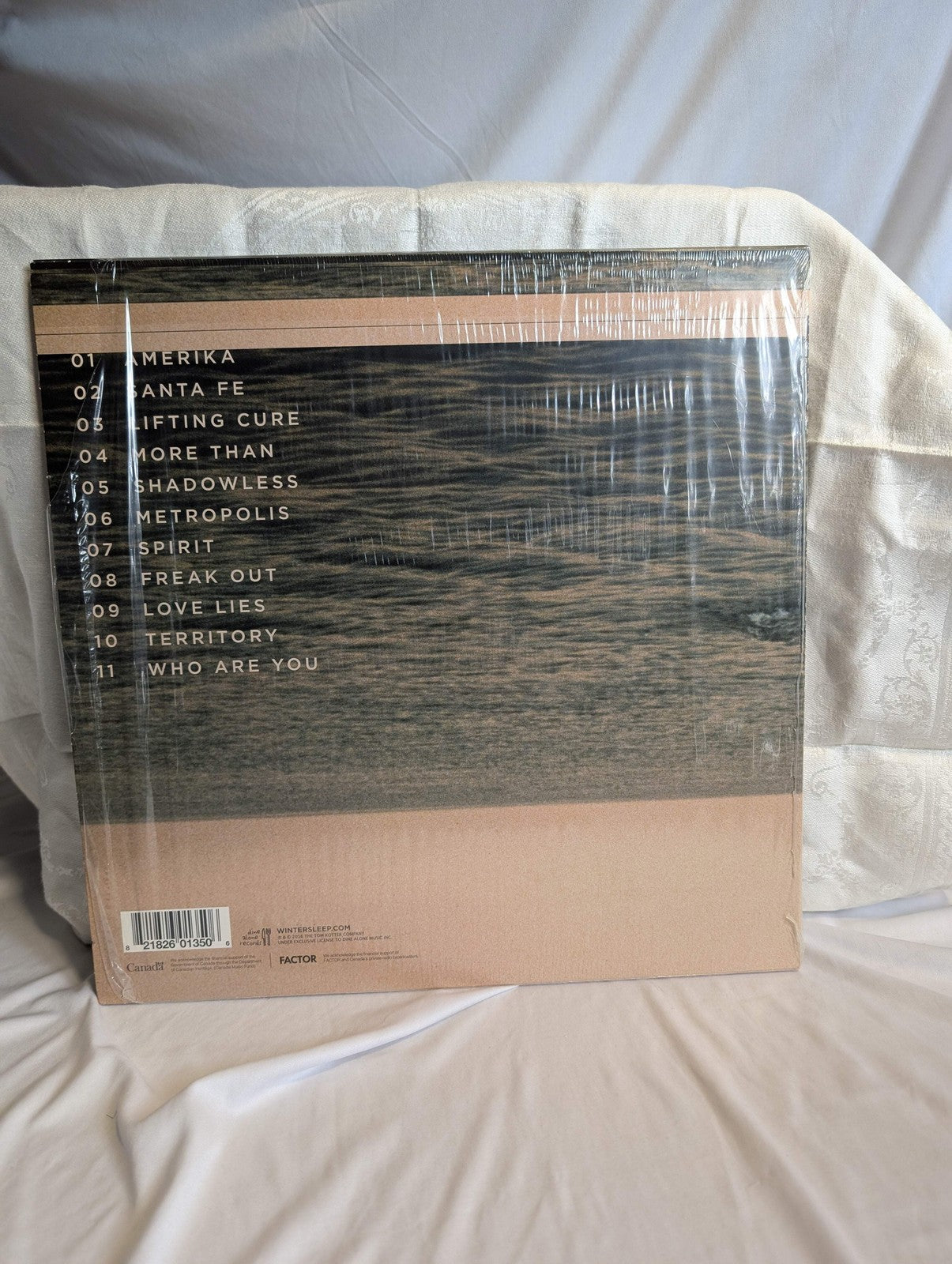 WINTERSLEEP   THE GREAT DETACHEMENT   LP 1