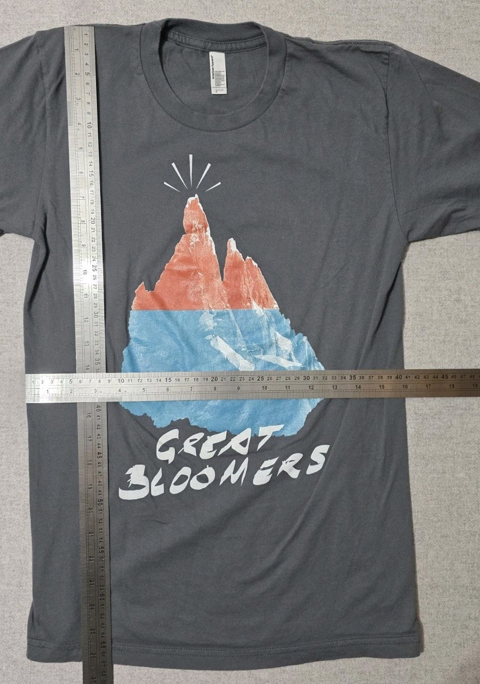 Great Bloomers Band T shirt Size Small1