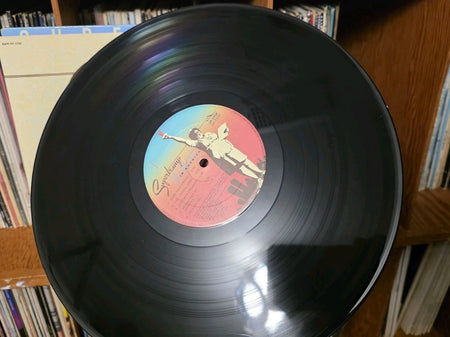SUPERTRAMP - BREAKFAST IN AMERICA - Vinyl Record - Canada - Cleaned & Tested7