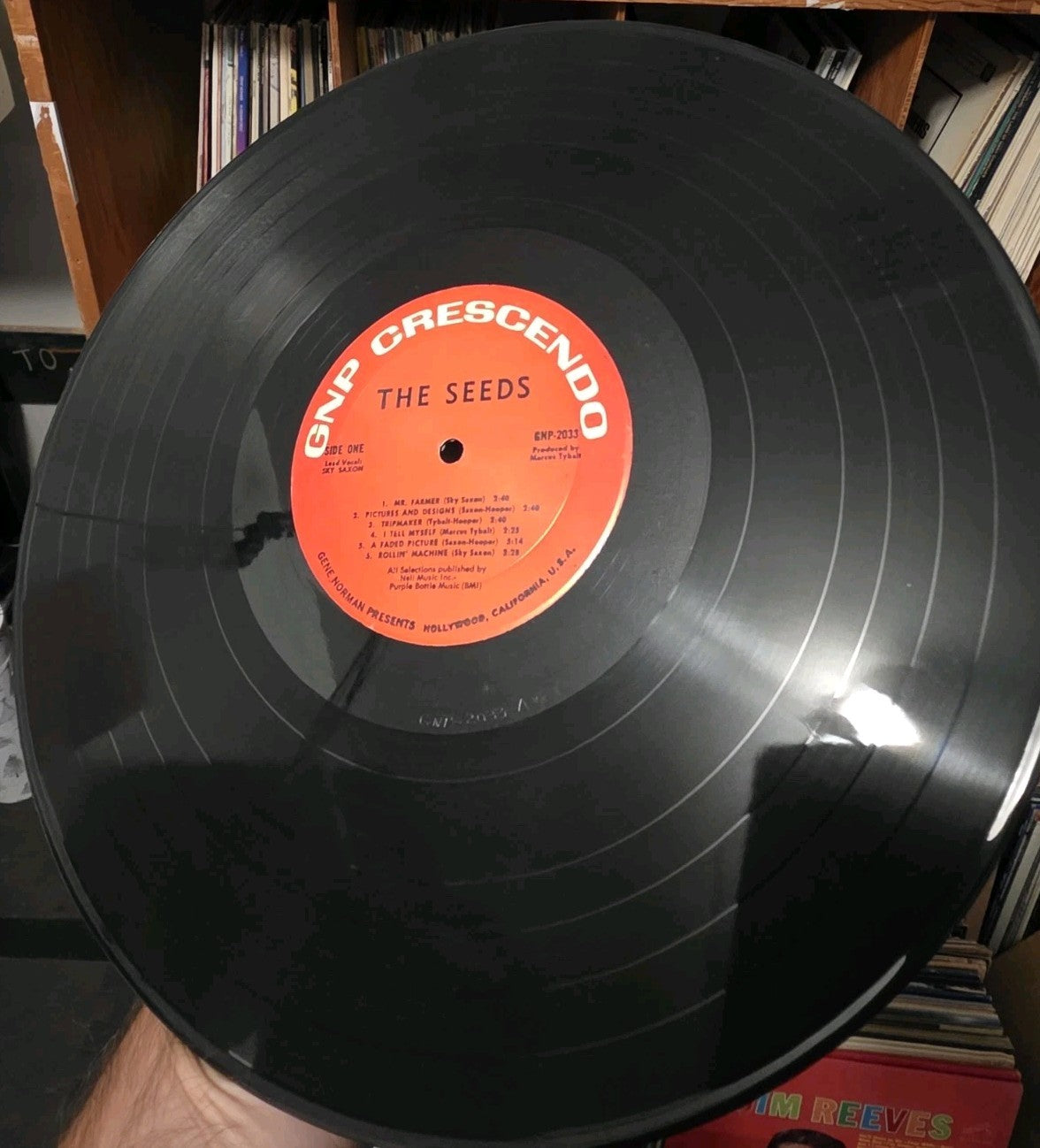 The Seeds  A Web Of Sound 1966 LP GNP Crescendo GNP 20338