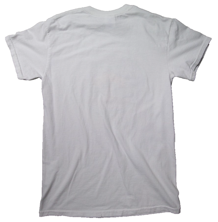 The Orange Alabaster Mushroom - T-shirt - Rare Print - SizeSmall1