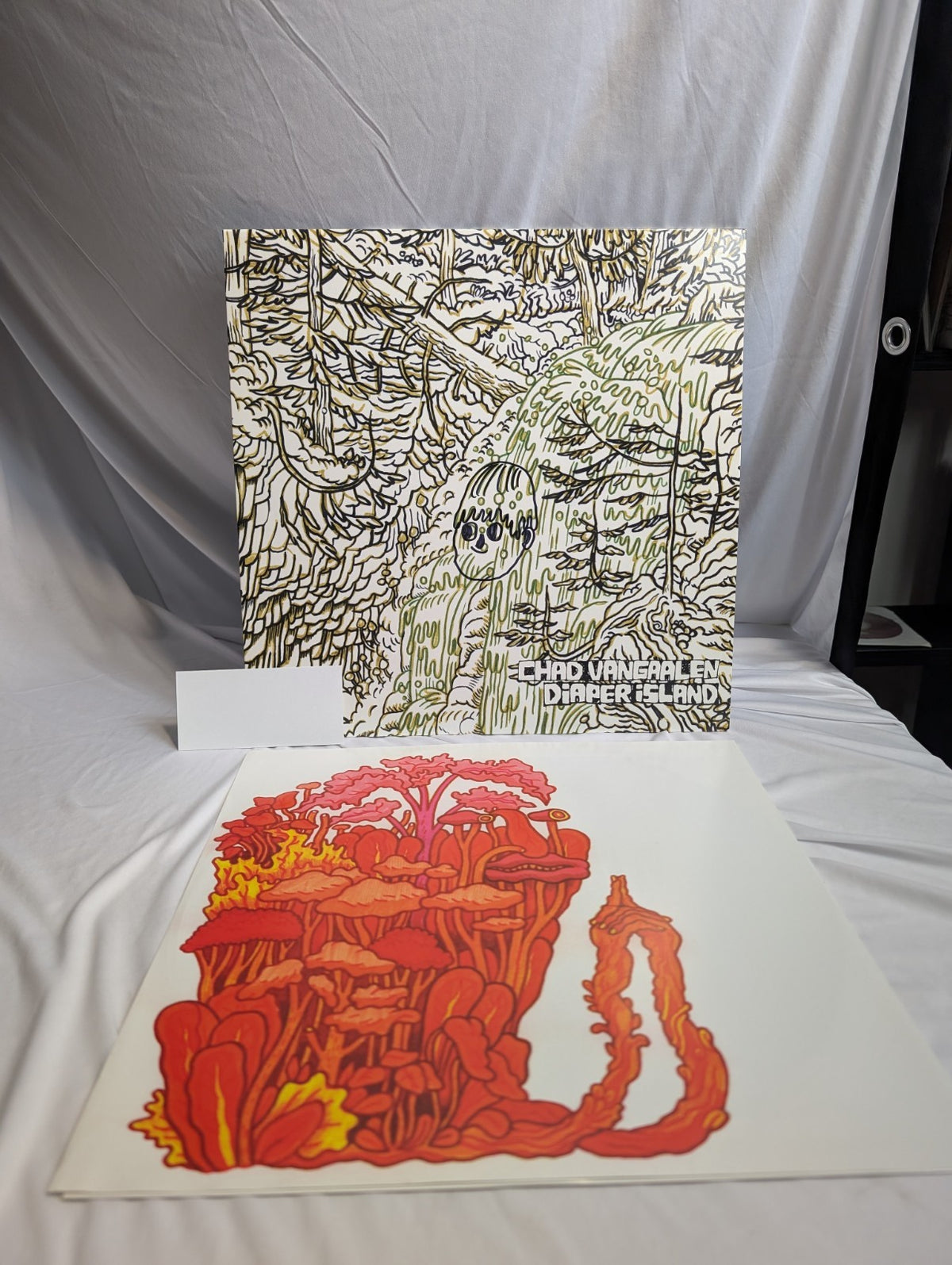 CHAD VANGAALEN DIAPER ISLAND   12" RECORD   AUTOGRAPHED W/DOODLE BY CHAD5