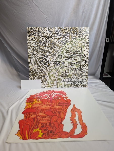 CHAD VANGAALEN DIAPER ISLAND   12" RECORD   AUTOGRAPHED W/DOODLE BY CHAD5