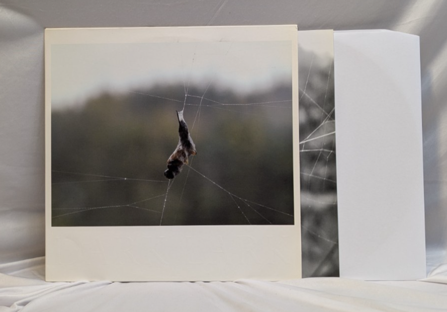 CONSTRUCTION AND DESTRUCTION - DARK LARK - 12" RECORD 