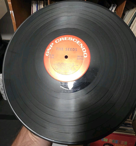 The Seeds  A Web Of Sound 1966 LP GNP Crescendo GNP 20337