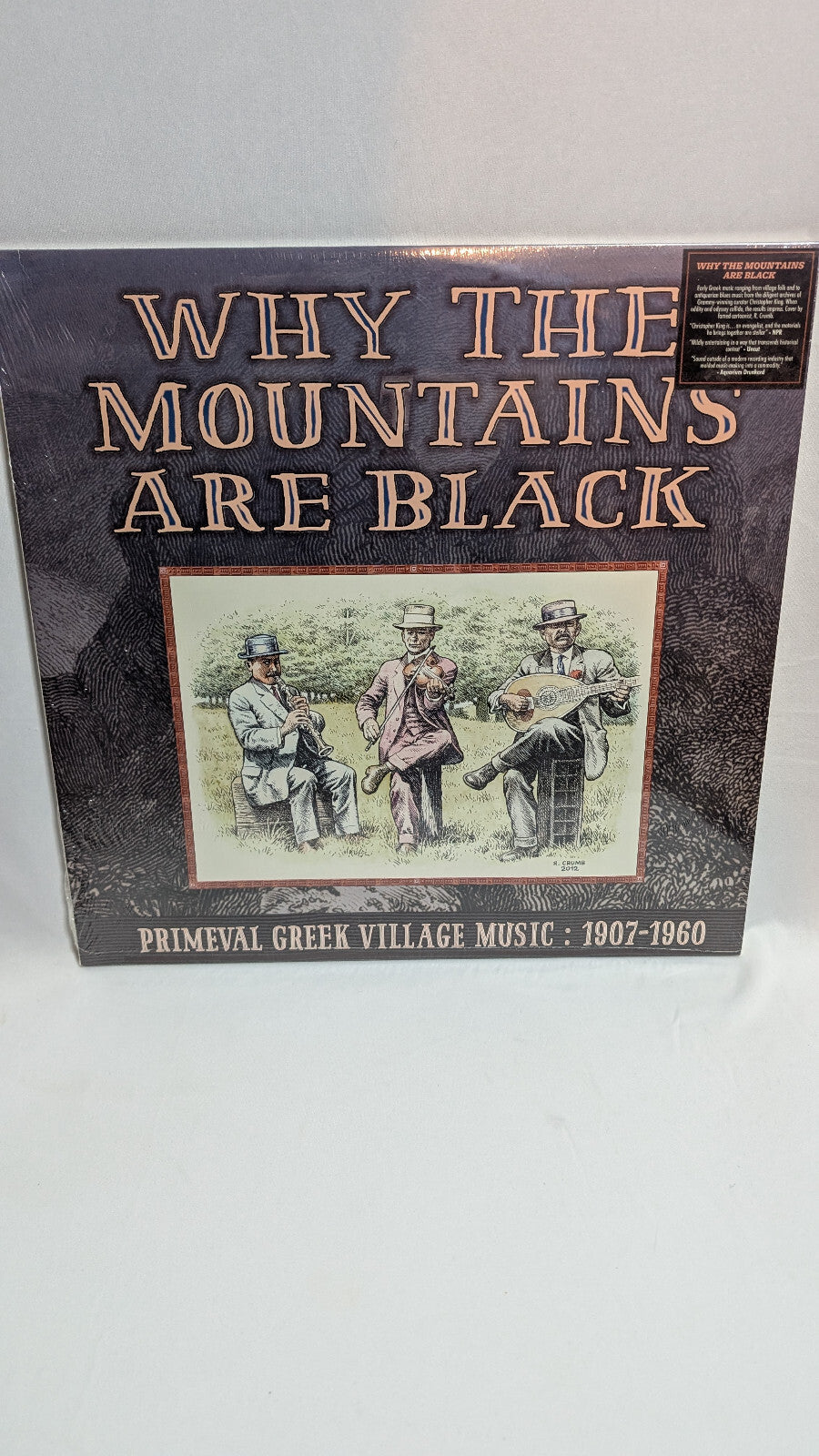 WHY THE MOUNTAINS ARE BLACK *NEW* 12" LP *LIMITED EDITION* TMR334G