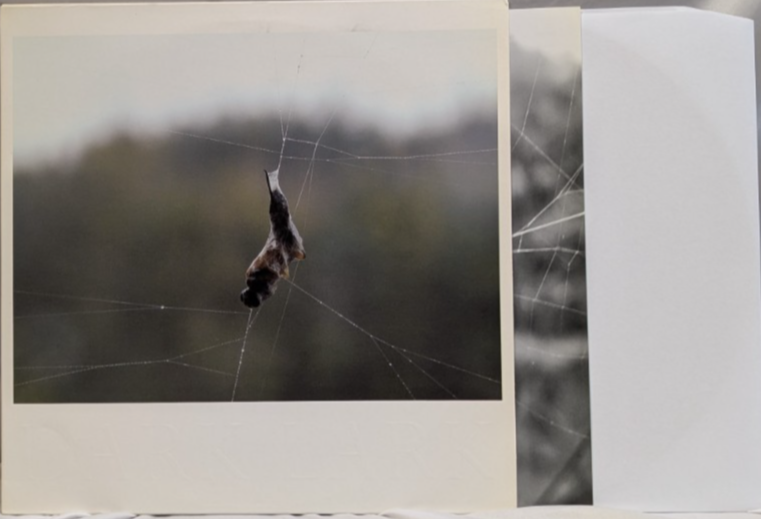CONSTRUCTION AND DESTRUCTION   DARK LARK   12" RECORD 0