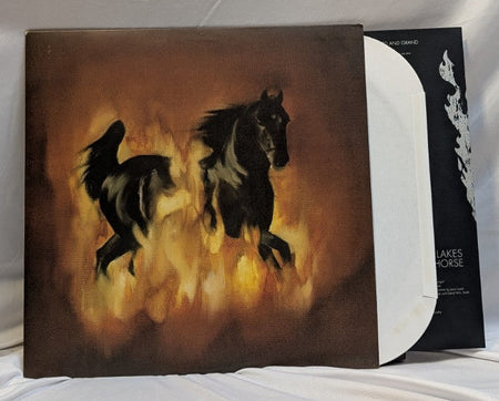 THE BESNARD LAKES - ARE THE DARK HORSE - 12" RECORD