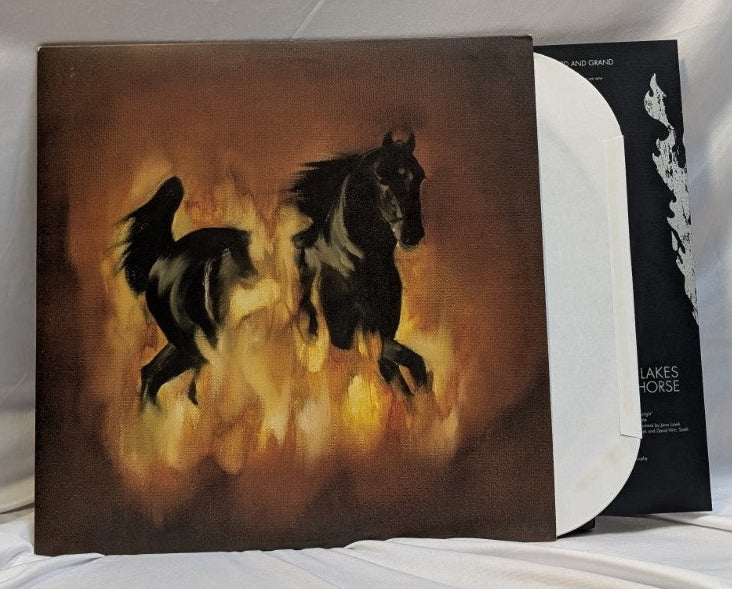 THE BESNARD LAKES - ARE THE DARK HORSE - 12" RECORD