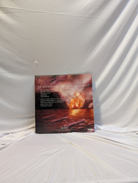 THE BESNARD LAKES   ARE THE ROARING NIGHT   12" RECORD1