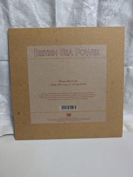 BRITISH SEA POWER - PLEASE STAND UP - 7" RECORD