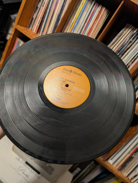 Lou Reed – Sally Can't Dance   LP RCA Victor – CPL1 0611   19746