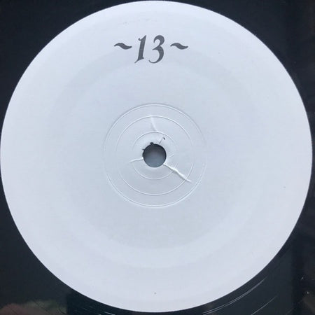 A Silver Mt. Zion 13 Blues For Thirteen Moons 12" VINYL RECORD2