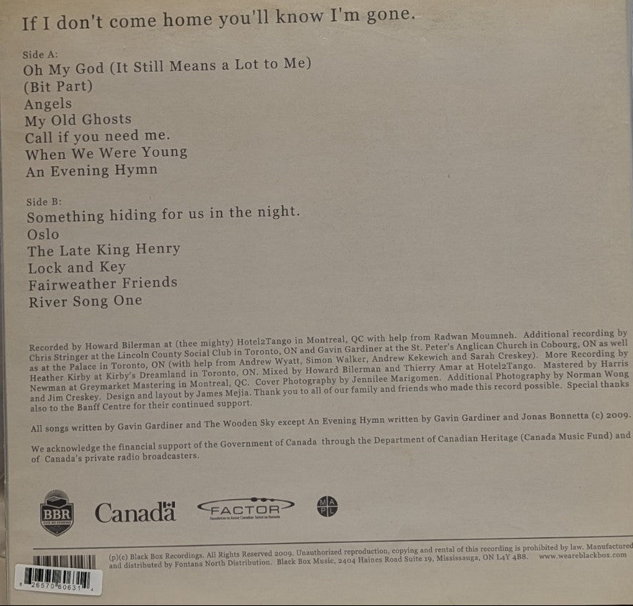 WoodenSky - If I Don't Come Home You'll Know I'm Gone -12" Record W/Hype