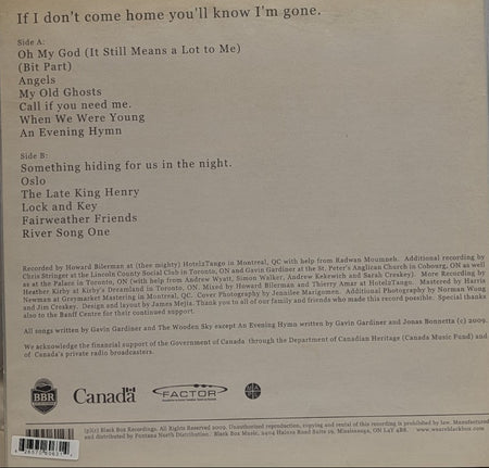 WoodenSky - If I Don't Come Home You'll Know I'm Gone -12" Record W/Hype