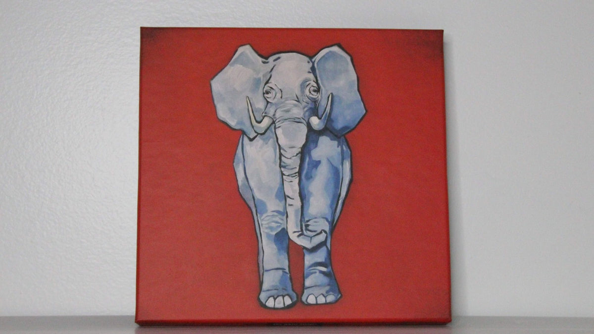 The White Stripes - Elephant - Singles Box Set (2014)